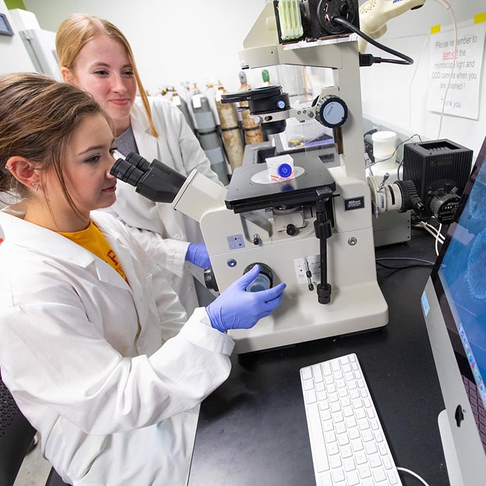 Two student researchers look through a microscope.