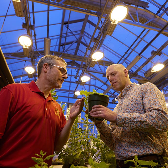 Two bioscience researchers examine a plant specimen in the greenhouse.